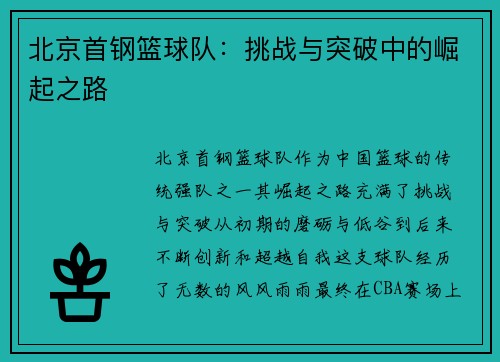 北京首钢篮球队：挑战与突破中的崛起之路
