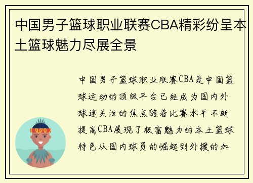 中国男子篮球职业联赛CBA精彩纷呈本土篮球魅力尽展全景 中国男子篮球职业联赛CBA精彩纷呈本土篮球魅力尽展全景